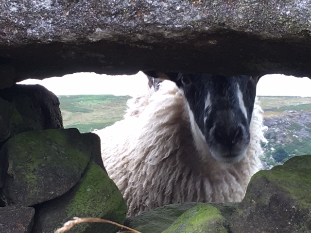 1534530280989_IMG_1734